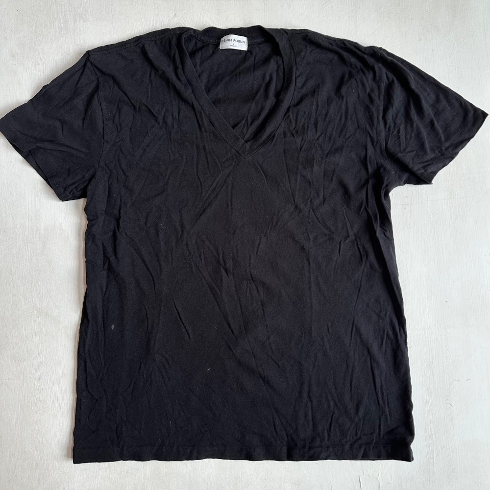 Aritzia Denim Forum Black V Neck Tee